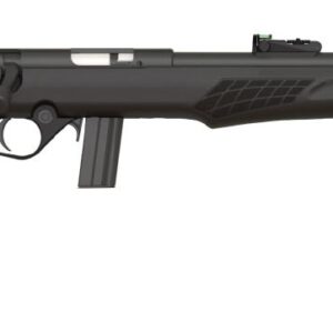 ROSSI RB22 22LR BLK/SYN 18" 10+1