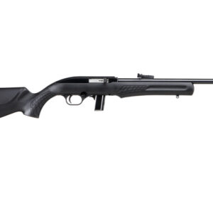 BRZ ROSSI RS22 22LR RFL 18B 10